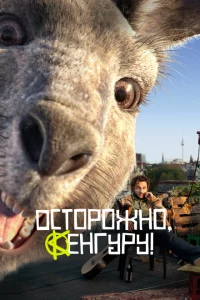 Осторожно, Кенгуру! 